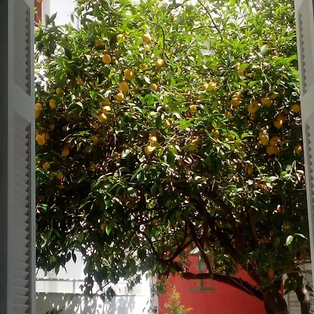 Apartman Superior Near *