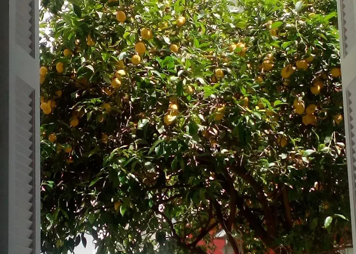 Apartmán Superior Near *